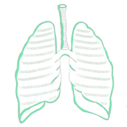 Chest Wall