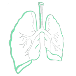 Collapsed Lung